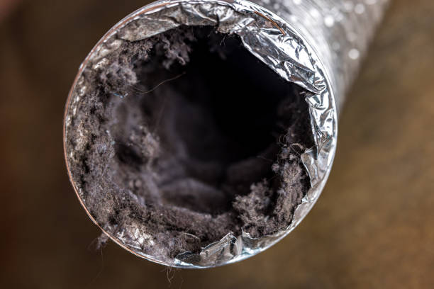 Best Air Duct Cleaning Near Me  in Kalama, WA